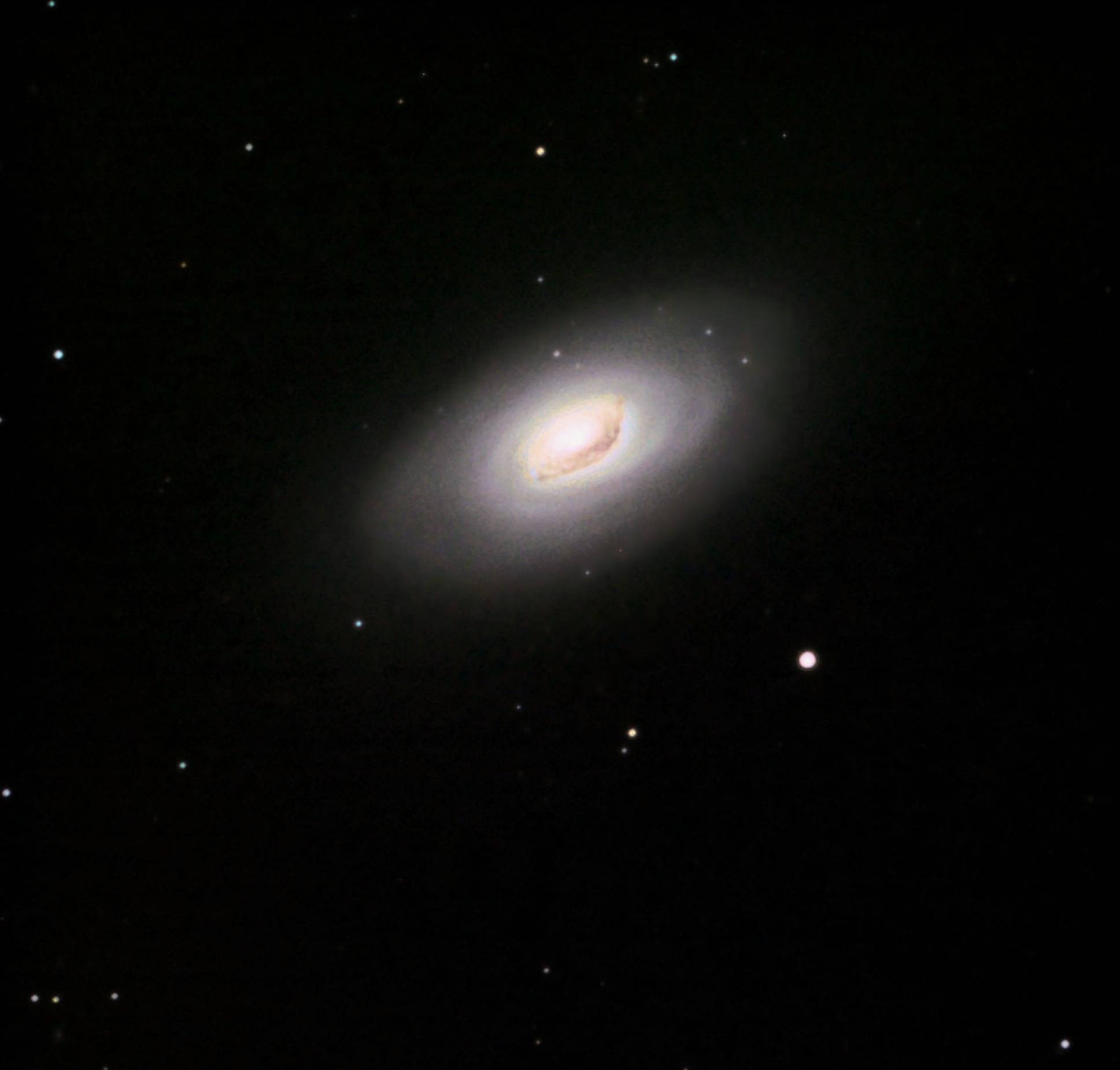 M64
